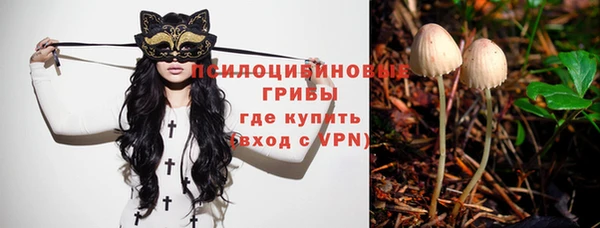 метадон Осташков