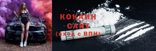 шишки Нязепетровск
