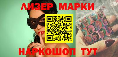 стаф Гатчина