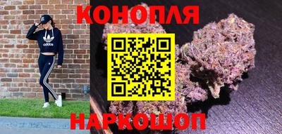 стаф Гатчина