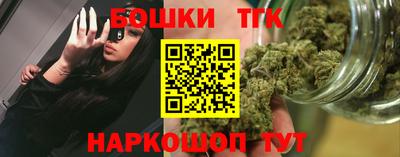 стаф Гатчина