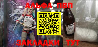 стаф Гатчина