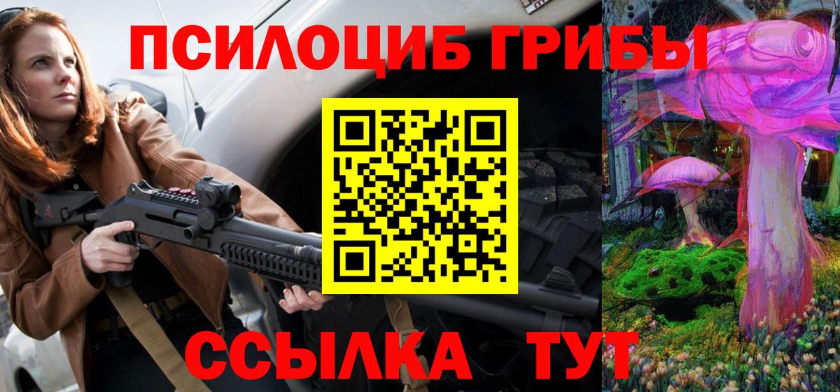 Заводоуковск  Галлюциногенные грибы Psilocybe  Вход с VPN 