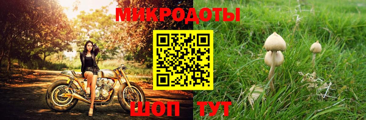как найти наркотики  Заводоуковск  Псилоцибиновые грибы Psilocybe 